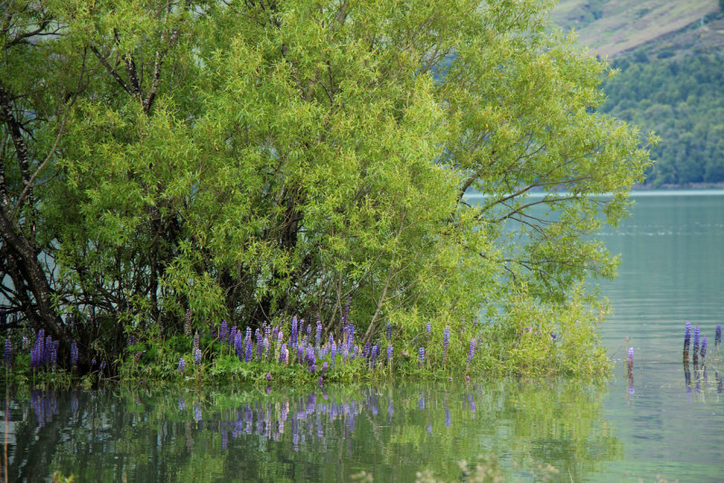 Glenorchy
