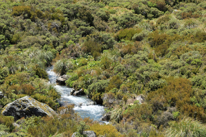 Mount Cook NP