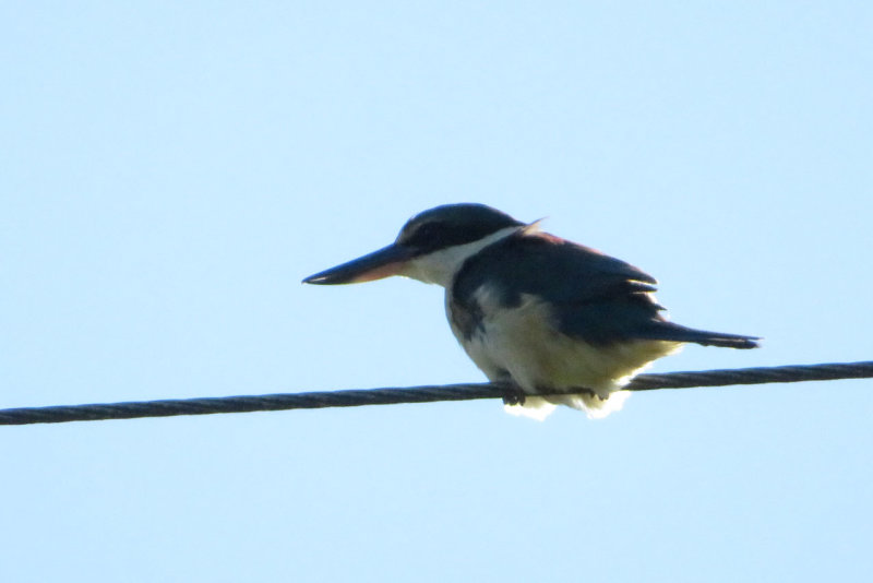 IMG_3357.JPG