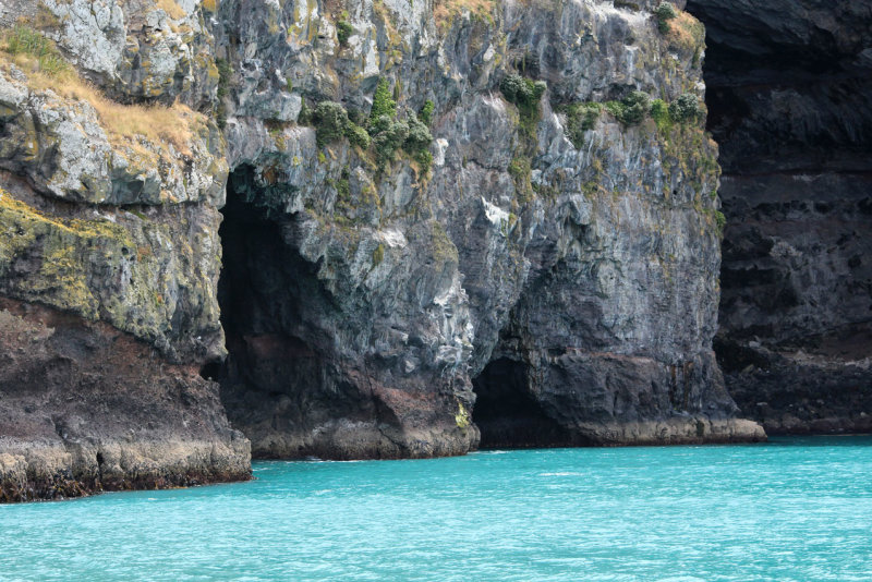 Akaroa