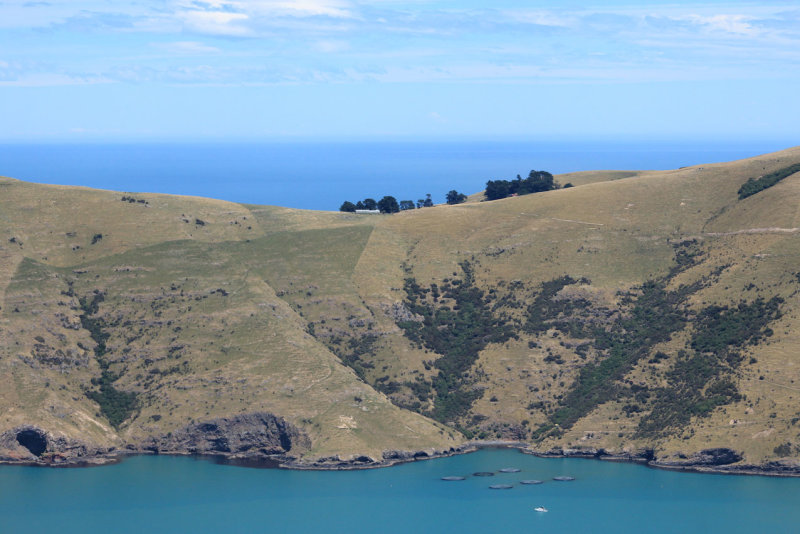 Akaroa