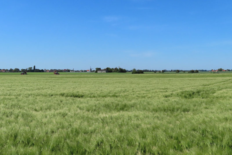 De Moeren