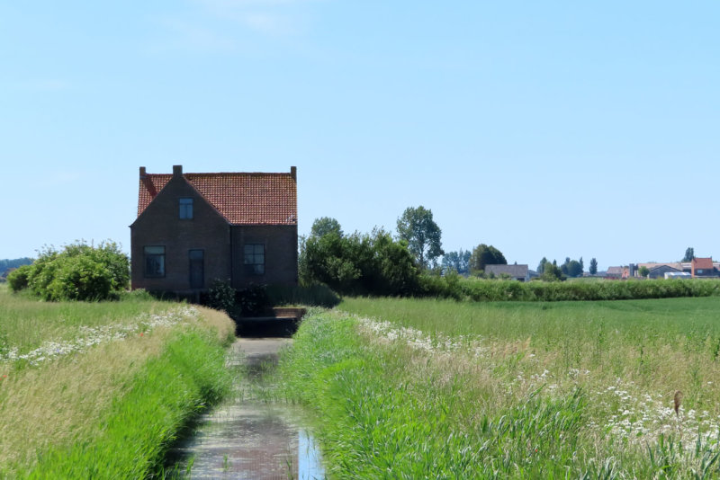 De Moeren