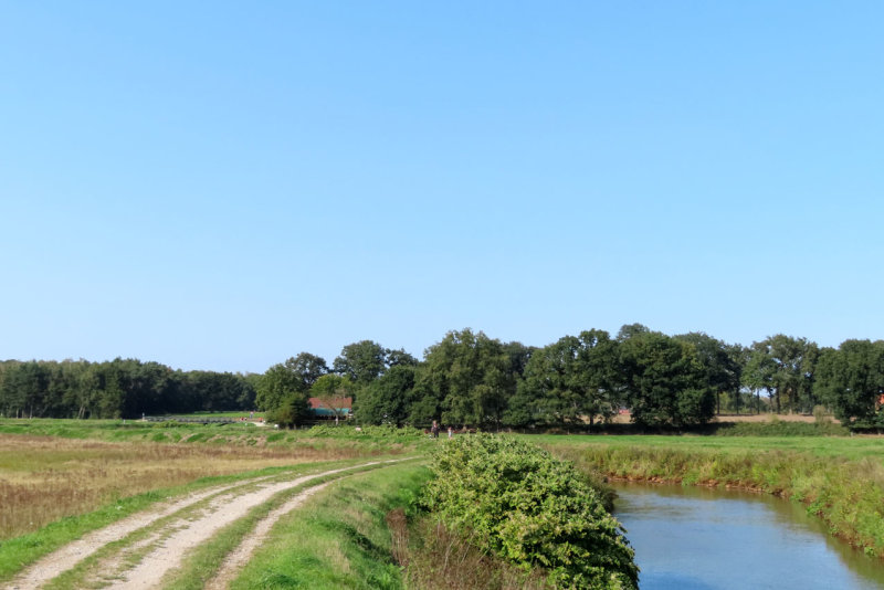 De Nete