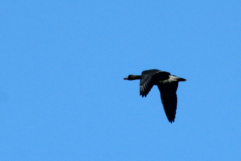 IMG_3945.JPG