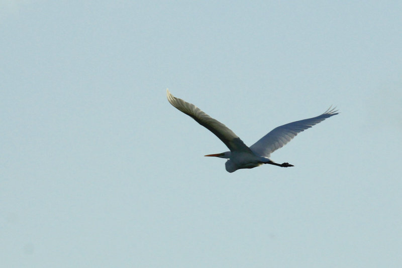 IMG_3959.JPG