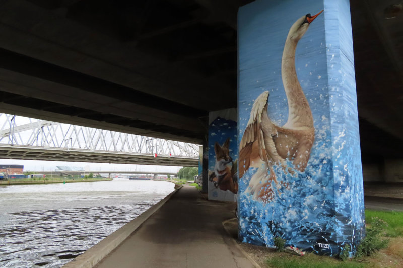 Schoten - Albertcanal bridge