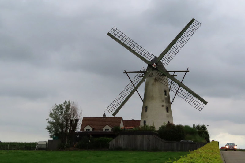 Vinderhout