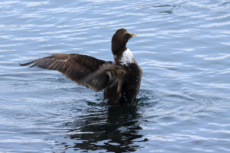 IMG_6266.JPG