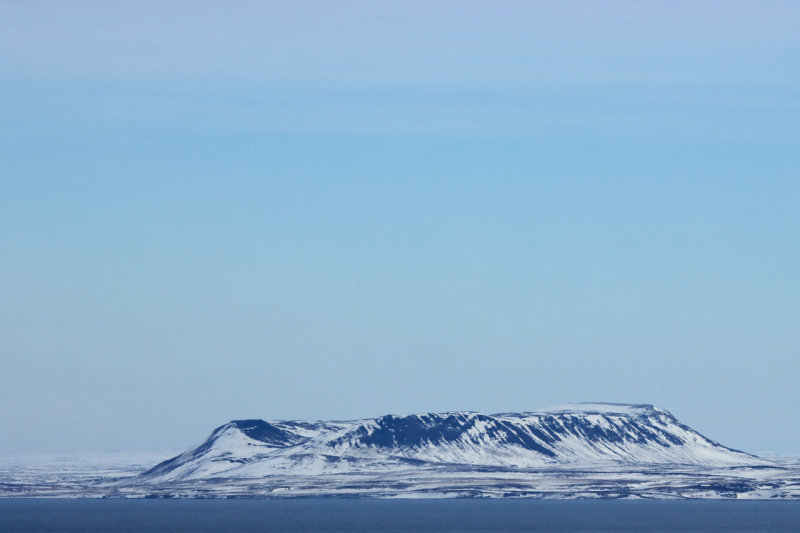 IMG_6529.JPG