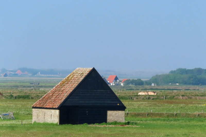 IMG_1137.JPG