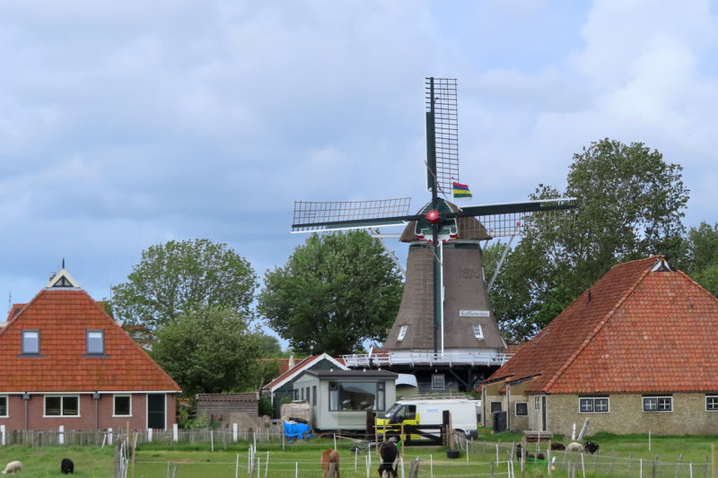 IMG_1729.JPG