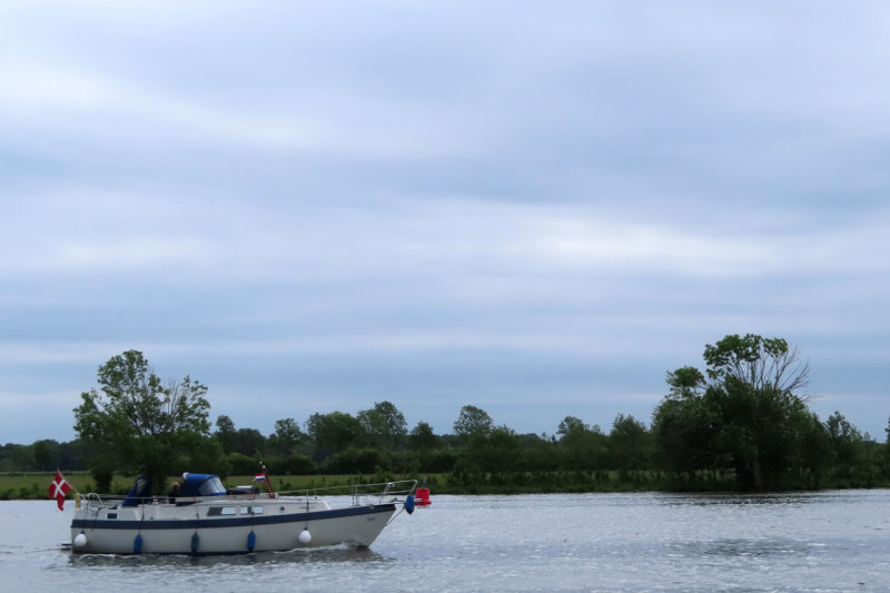 IMG_2822.JPG