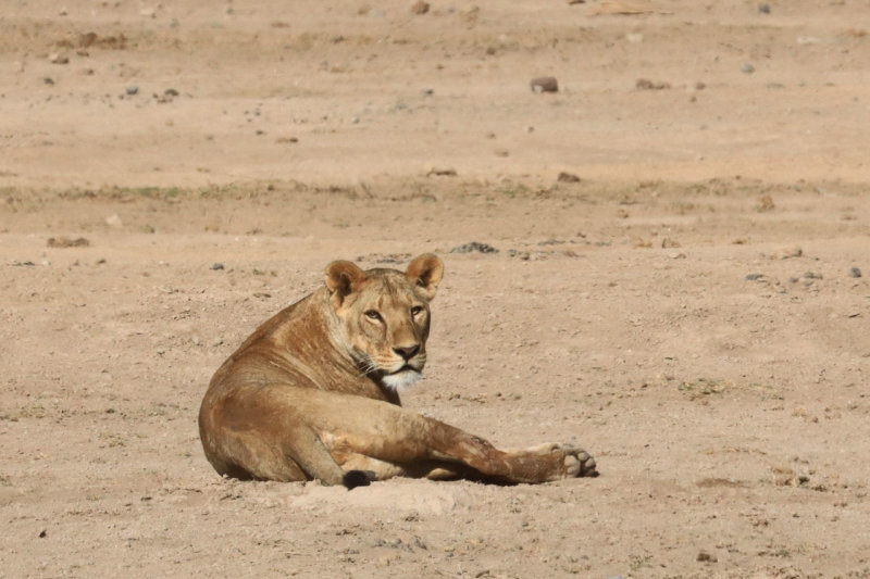 IMG_1665.JPG