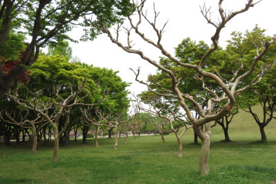 Tumuli Park