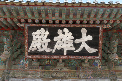 IMG_8991.JPG