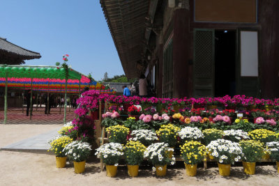 IMG_9002.JPG