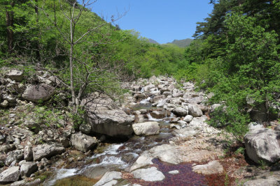 IMG_9689.JPG