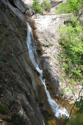 IMG_9765.JPG