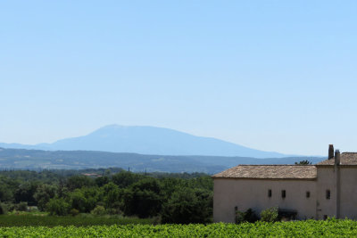 Mont Ventoux in the distance