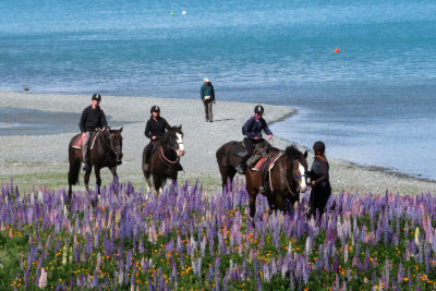 Lake Tekapo