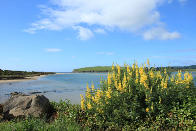 Surrat Bay