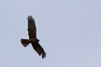 IMG_1000.JPG