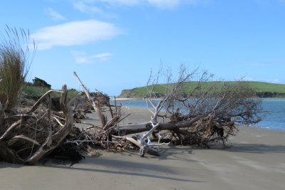 Surrat Bay