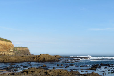 Curio Bay