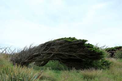 Slope Point