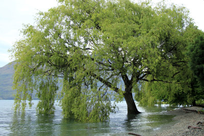 Lake Wakatipu