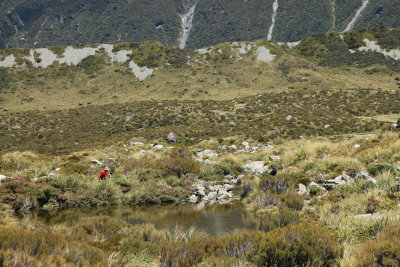 Mount Cook NP