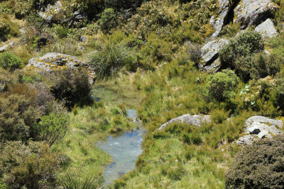 Mount Cook NP