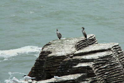 Pancake Rocks