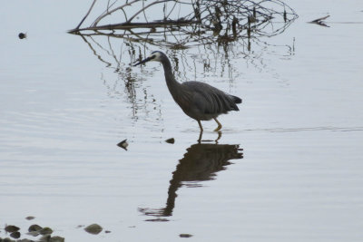 IMG_3391.JPG