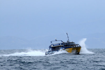 Kaikoura