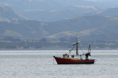 Kaikoura