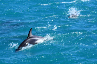 Kaikoura