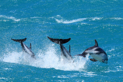 Kaikoura