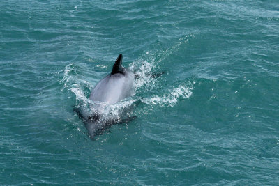 Akaroa