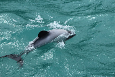 Akaroa