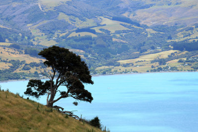 Akaroa