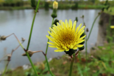 IMG_2888.JPG