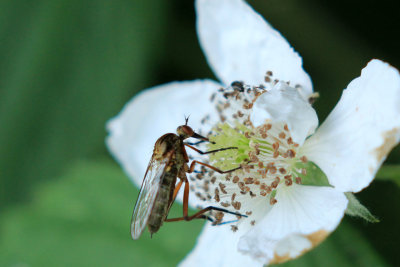 IMG_8128.JPG