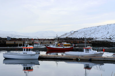 IMG_6143.JPG