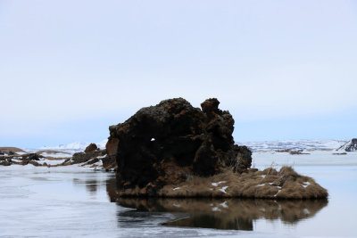 IMG_6615.JPG