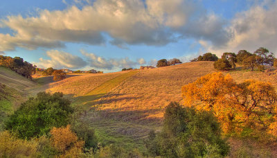 east bay hills in evening light