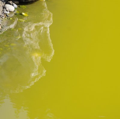 The Thinker in the Deep