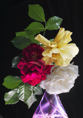 bouquet