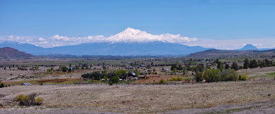 Shasta from the North II
